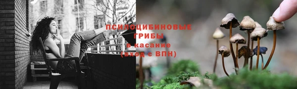 амф Краснослободск