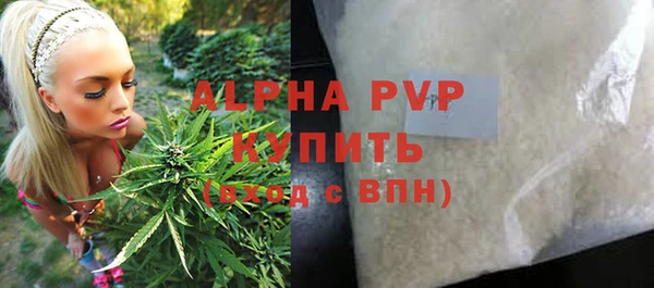 прущий лед Абаза